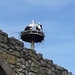 Au Coeur De Notre Vallee Appartement