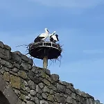 Lägenhet Au Coeur De Notre Vallee Munster (Haut-Rhin)