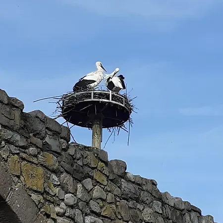 Spacieux, Lumineux, Moderne Appartement