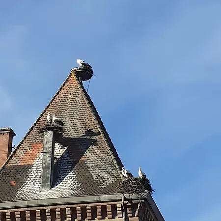Au Coeur De Notre Vallee 公寓