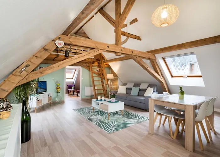 Appartement Spacieux, Lumineux, Moderne Munster (Haut-Rhin)