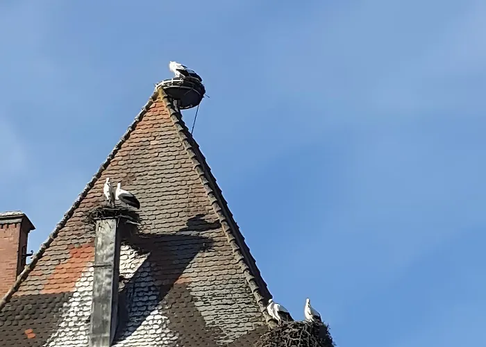 Appartement Spacieux, Lumineux, Moderne *