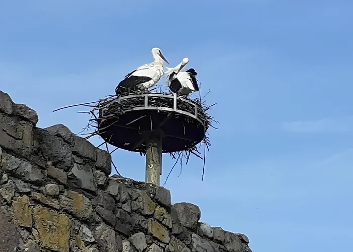 Spacieux, Lumineux, Moderne Appartement