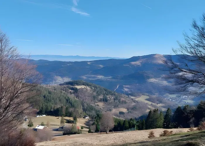 Spacieux, Lumineux, Moderne Appartement Munster (Haut-Rhin)